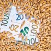 Už beveik 260 tūkst. eurų kviečių pardavęs ūkininkas negavo pinigų