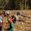 Lietuvoje vyks nacionalinis miškasodis