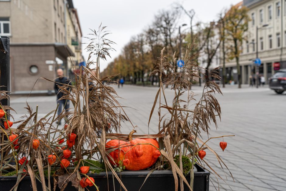 Kaunas puošiasi Helovinui: pagrindinis akcentas – moliūgėliai