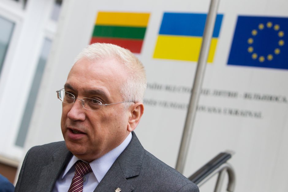 Ambasadorius: Ukrainai reikalinga visokeriopa parama