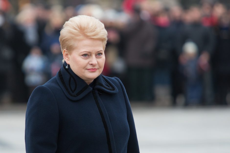 D. Grybauskaitė paragino Čilės verslininkus kurtis Lietuvoje