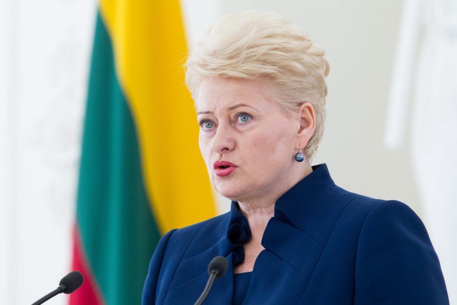 Prezidentė – už specialų Pietryčių Lietuvos plėtros fondą
