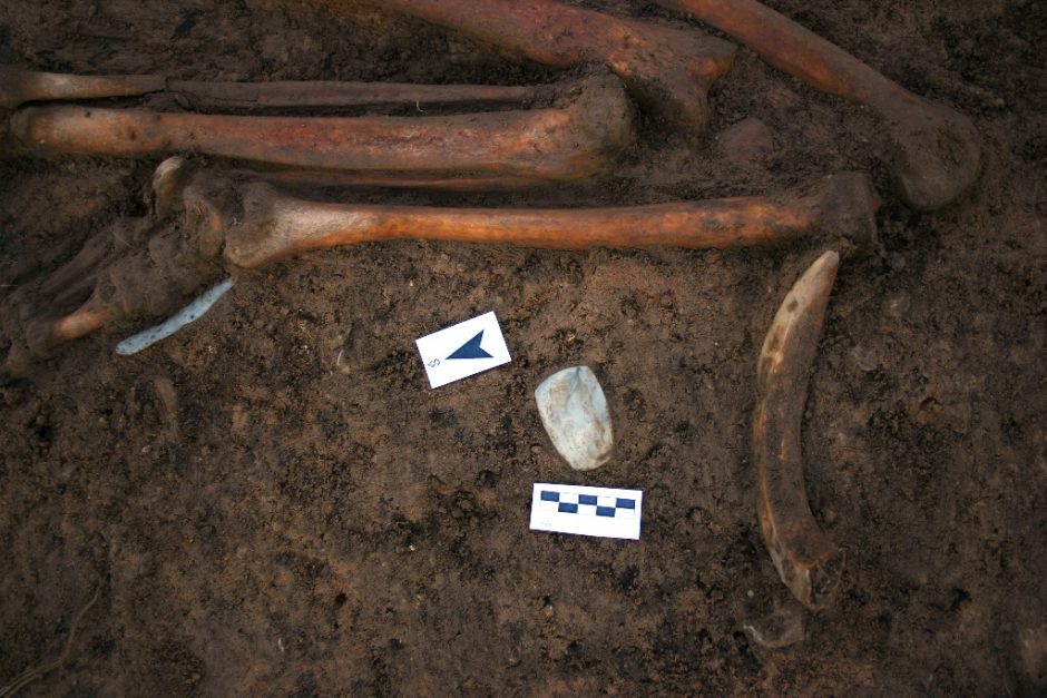 Itin retas radinys: Biržuose aptiktas neolito laikų kapas