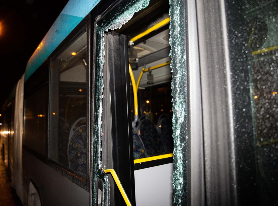 Švenčionių rajone nuo kelio nuvažiavo ir į medį rėžėsi keleivinis autobusas: vairuotojas žuvo