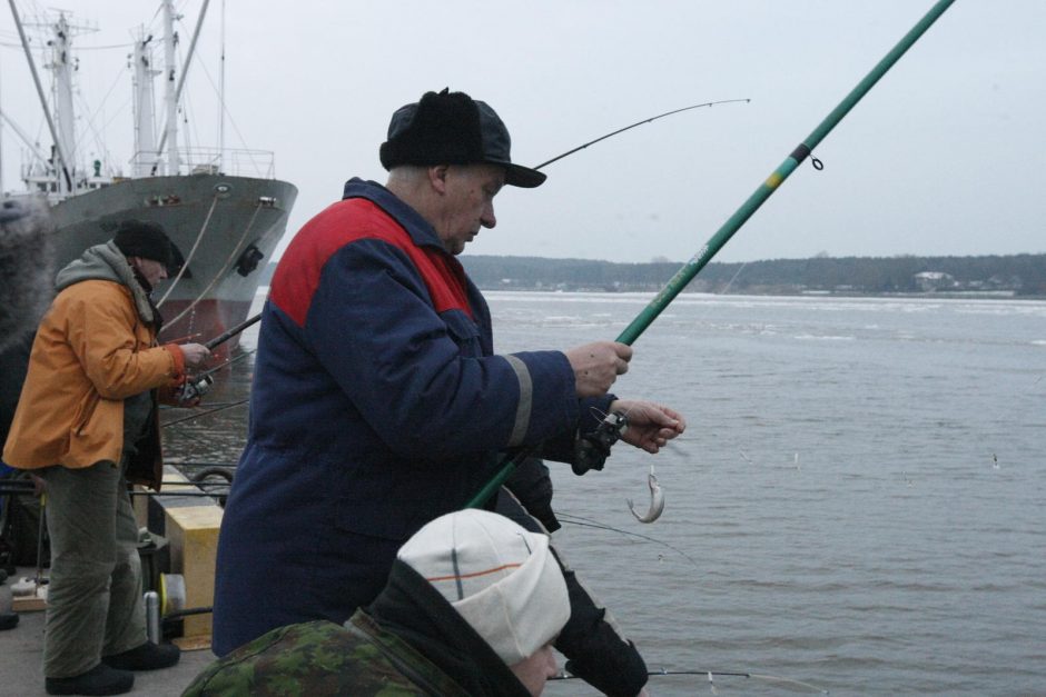 Stintų žvejyba Klaipėdoje