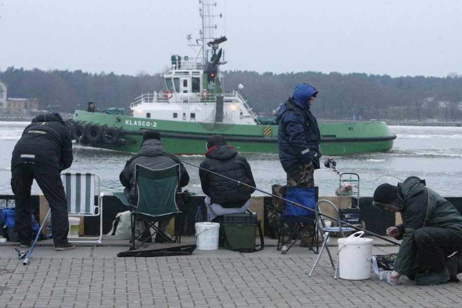 Stintų žvejyba Klaipėdoje