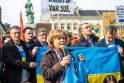 EP narė R. Juknevičienė Ukrainos palaikymo mitinge Briuselyje