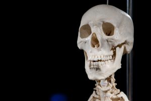 Kupiškio rajone aptikta žmogaus kaulų