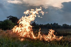 Jonavos rajone – gaisras: išdegė 5 ha miško paklotės, 10 ha pievų bei krūmynų