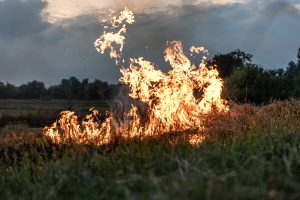 Žolės deginimas – rizika ne tik gauti baudą, bet ir pavojus gyvybei